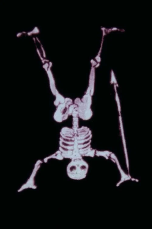 Magic Lanterns poster